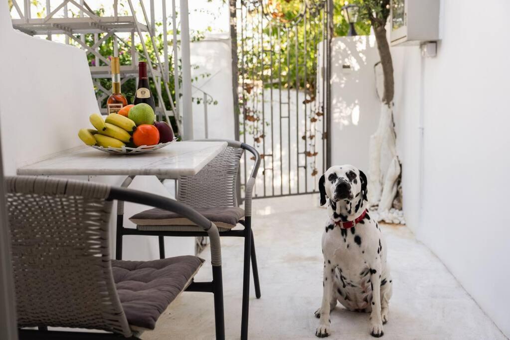 Villa Artemis Cycladic Charmed ! Athens